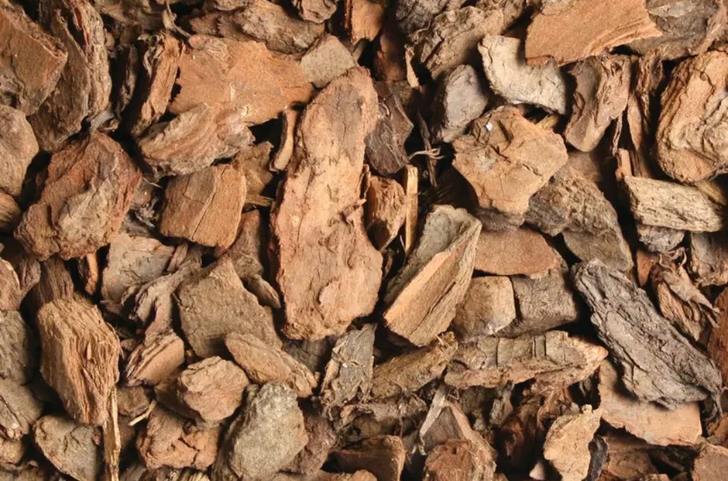 Pine Bark Bunnings And 4 Benefits It Has