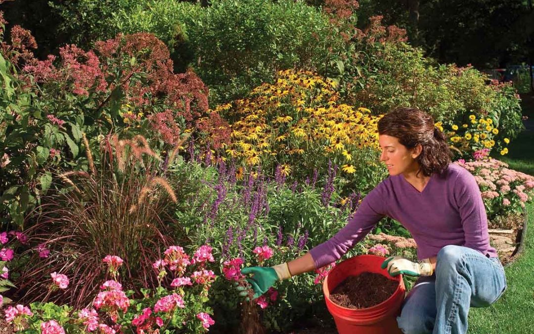 Create A Pine Bark Garden At Home And See The Difference!