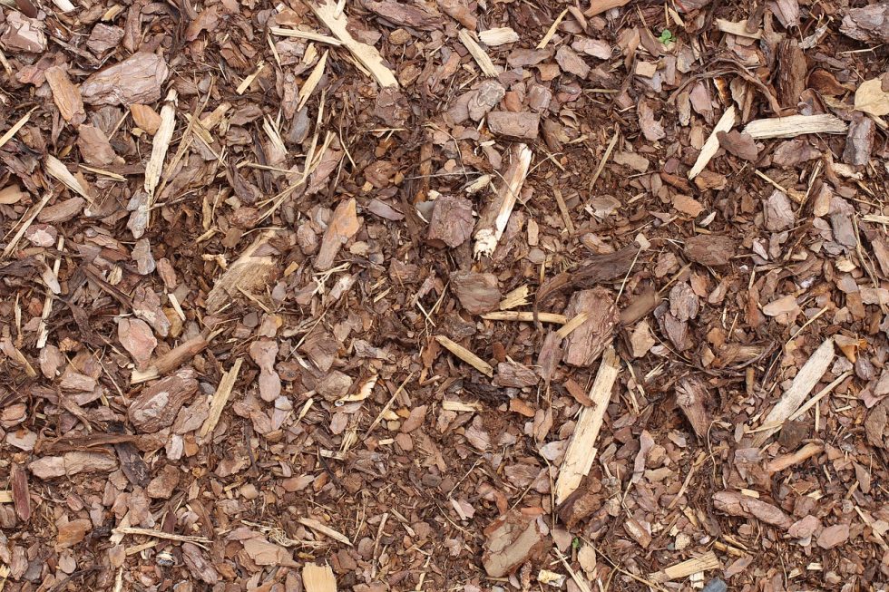 Is Pine Bark Mulch Good For Your Garden And Plants?