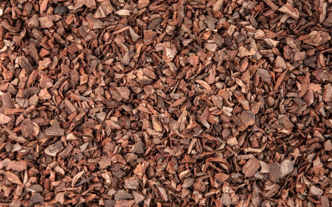 What Are the Benefits Of Pine Bark In Soil?