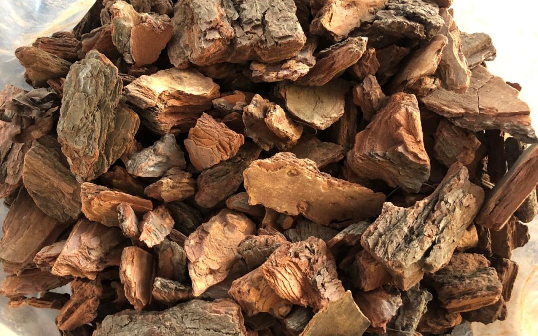 Health Benefits Of Pine Bark Wood Chips